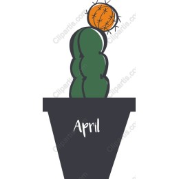 April Cactus