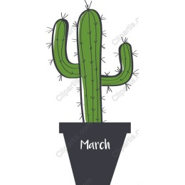 Cactus in Pot - March Edition