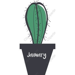 Cactus January