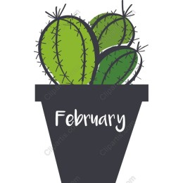 Cactus in Pot - February