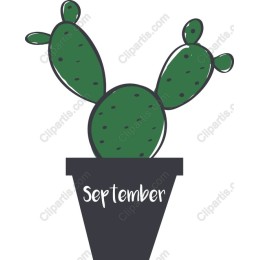 September Cactus
