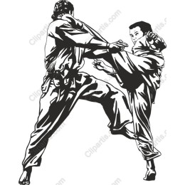 Dynamic Martial Arts Action