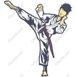 Dynamic Karate High Kick