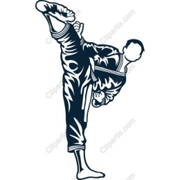 High Kicking Martial Artist