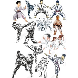 Karate Set - 16 High-Quality