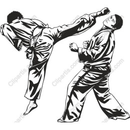 Dynamic Martial Arts