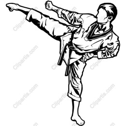 Dynamic Martial Artist High Kick