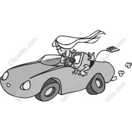 Joyful Driver