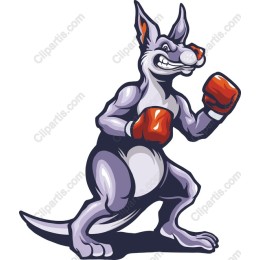Boxing Kangaroo