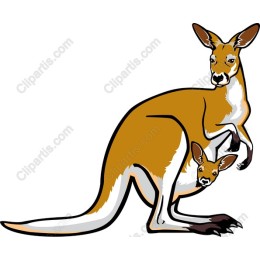 Kangaroo and Joey