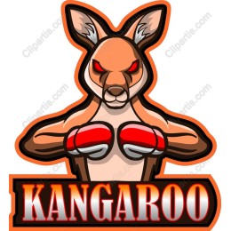 Kangaroo Boxer