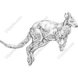 Artistic Kangaroo
