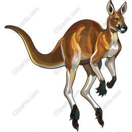 Dynamic Kangaroo