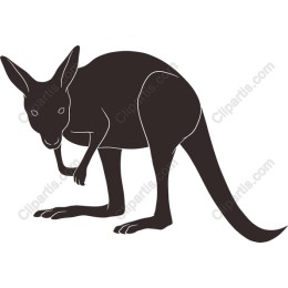 Kangaroo - Wildlife Artwork