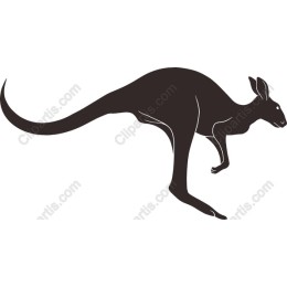 Dynamic Kangaroo