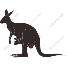 Kangaroo and Joey