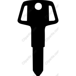 Stylish Key