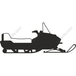 Snowmobile Adventure