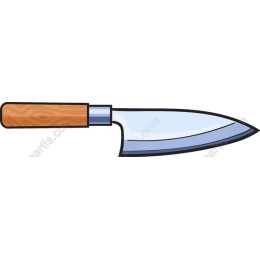Professional Kitchen Knife