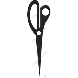 Elegant Scissors