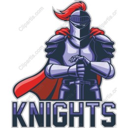 Valiant Knight