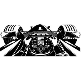 Racing Driver's Perspective