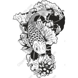 Elegant Koi Fish with Lotus
