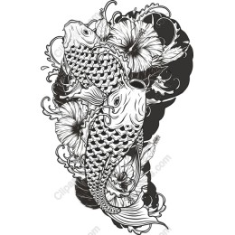 Koi Fish & Hibiscus