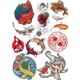 Aquatic Wonders: Premium Set