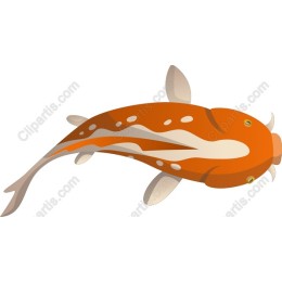 Vibrant Koi Fish