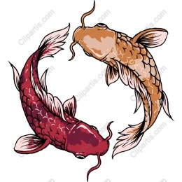 Koi Fish Harmony