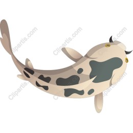 Playful Catfish