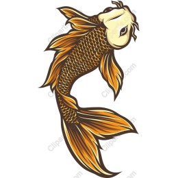 Vibrant Koi Fish