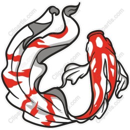 Koi Fish - Red and White Elegance