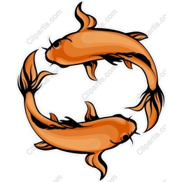 Koi Fish