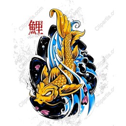 Elegant Koi Fish in and