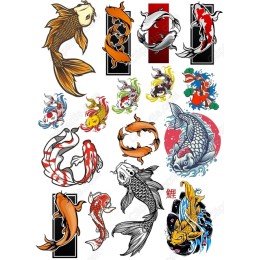 Koi Fish Collection