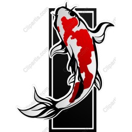 Koi Fish - Elegant and