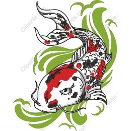 Elegant Koi Fish
