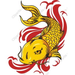 Golden Koi Fish