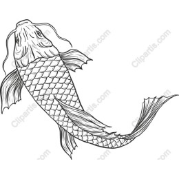 Koi Fish