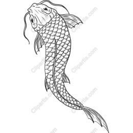 Koi Fish