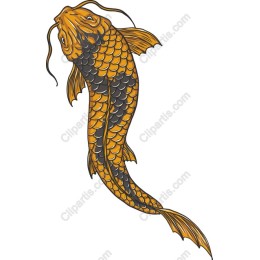 Vibrant Koi Fish