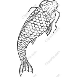 Elegant Koi Fish