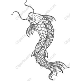 Koi Fish