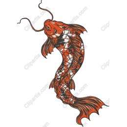 Vibrant Koi Fish