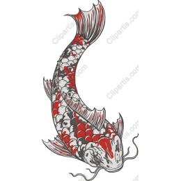 Koi Fish