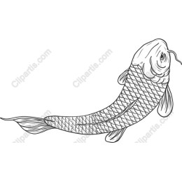 Koi Fish Line Art