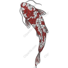 Koi Fish