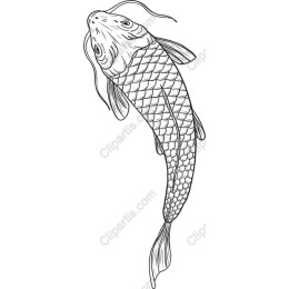 Elegant Koi Fish in Line Art